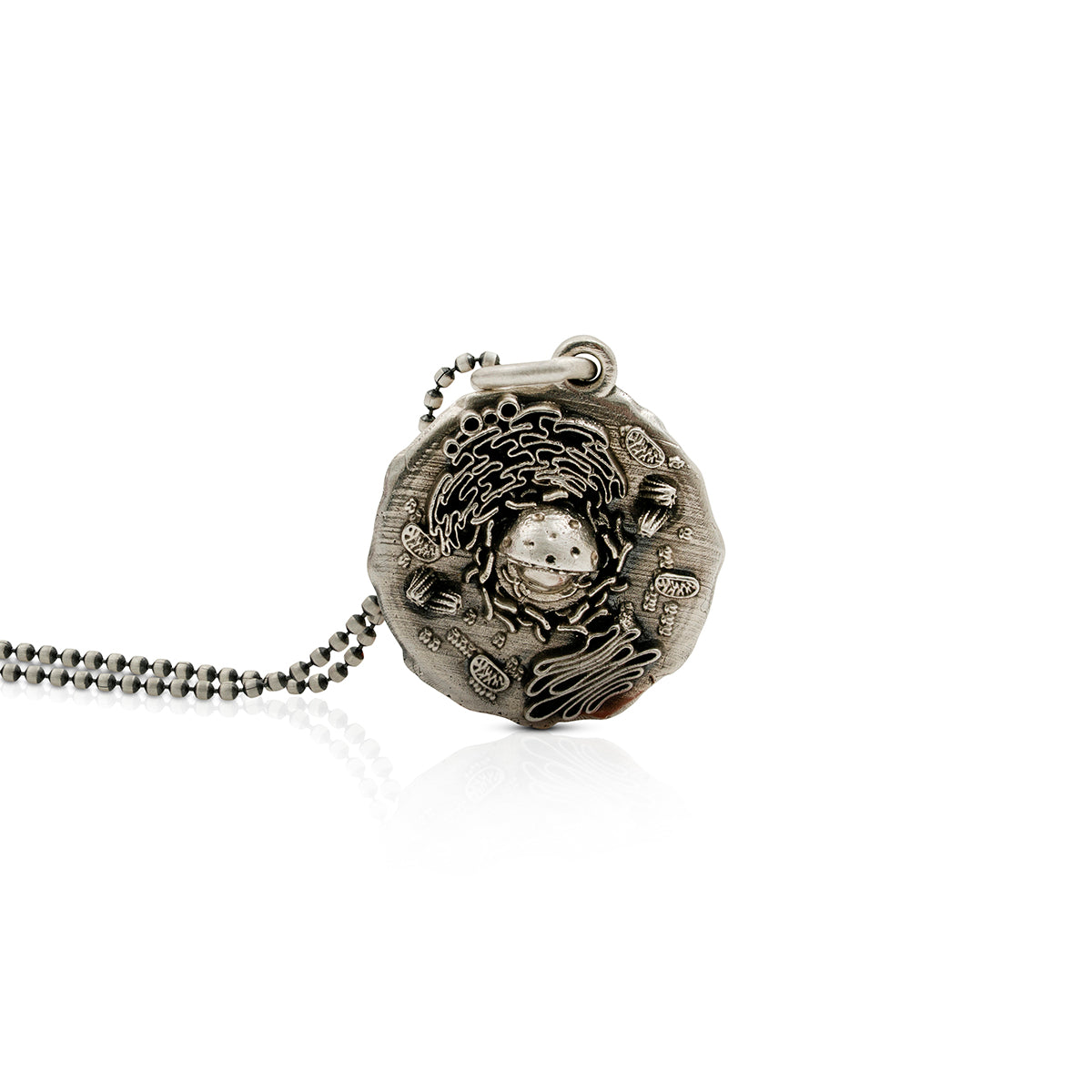 Célula - Biología y ciencia