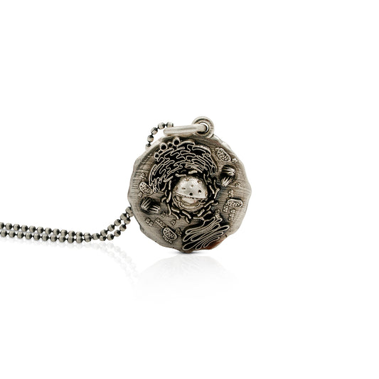 Célula - Biología y ciencia