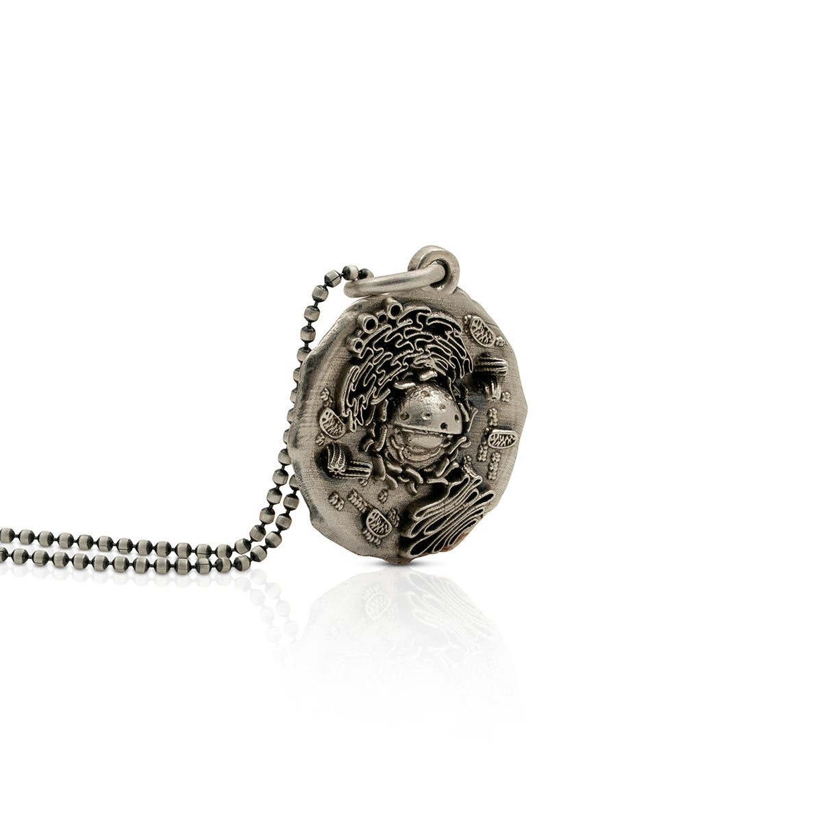 Célula - Biología y ciencia