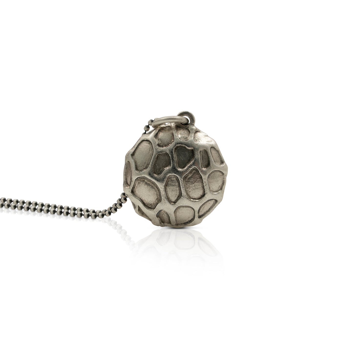 Célula - Biología y ciencia