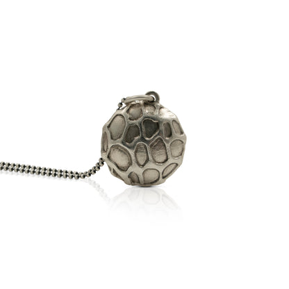 Célula - Biología y ciencia